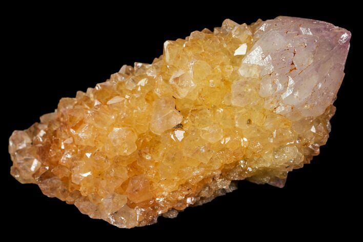 Sunshine Cactus Quartz Crystal - South Africa #115142